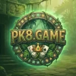 PK8 Game