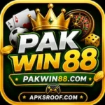PAKWIN88 Game Download