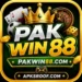 PAKWIN88 Game Download